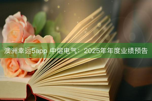 澳洲幸運(yùn)5app 中熔電氣：2025年年度業(yè)績預(yù)告