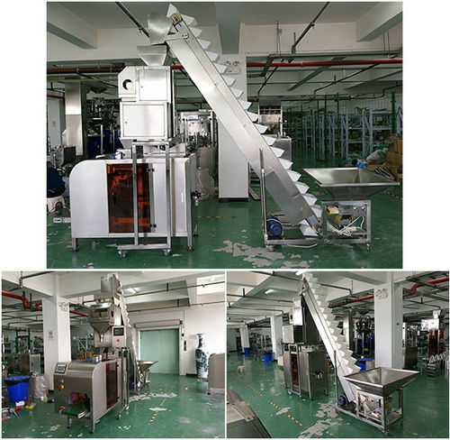 自動化腰果包裝加工線設(shè)備 大型腰果自動生產(chǎn)包裝機械